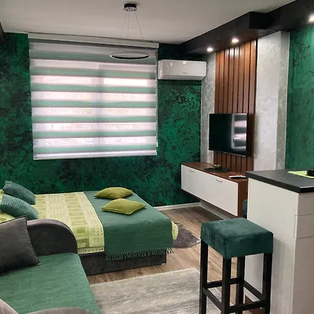 Apartman Aleksandar 2 *