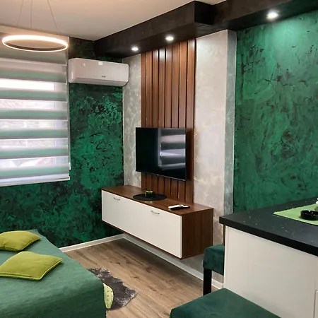 Aleksandar 2 דירה