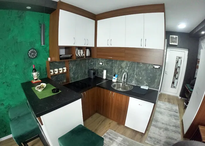 Aleksandar 2 Lejlighed *