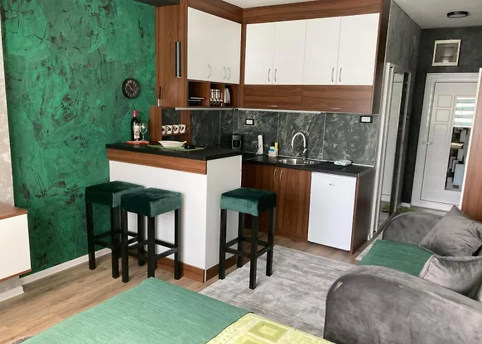 Lejlighed Aleksandar 2